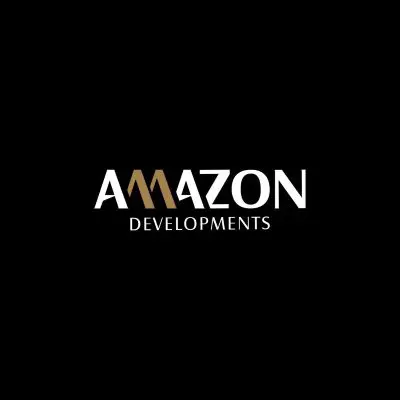 developer